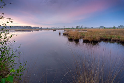 zonsopkomst kalmthoutse heide