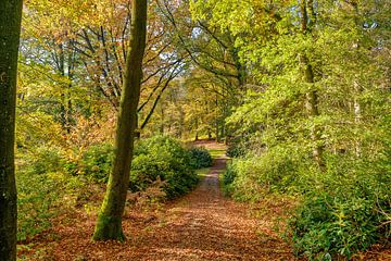 Landgut Rhederoord in Herbstfarben