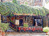 Restaurant Passignano Sul Trasimeno by Dorothy Berry-Lound thumbnail