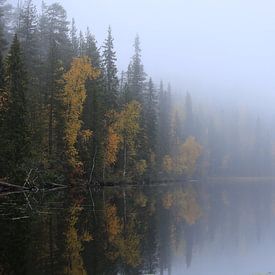 Dromerige herfstige sfeer van Julma-Ölkky kloofmeer in Finland van Carin van der Aa