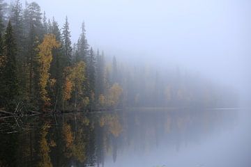 Dromerige herfstige sfeer van Julma-Ölkky kloofmeer in Finland van Carin van der Aa