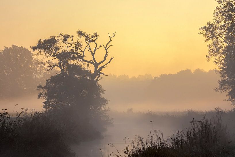 Avant le lever du soleil par Karla Leeftink