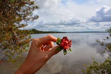 Sommer im finnischen Lappland von My Footprints