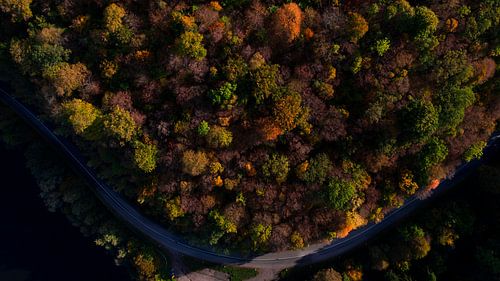 Vue aérienne forêt colorée avec route