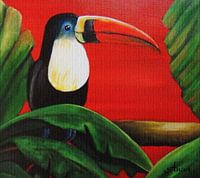 Toucan