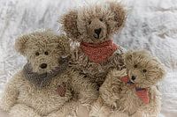 Three Teddy Bear Buddies