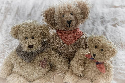 Trois copains ours en peluche