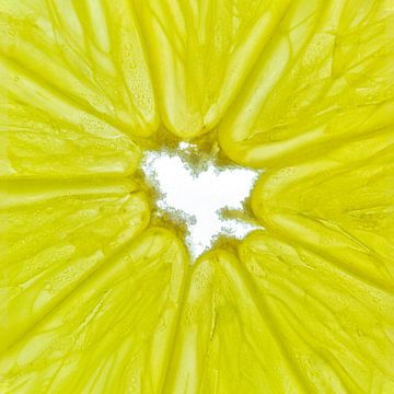 Nahaufnahme einer Zitronenscheibe vor einem weißen Hintergrund. von Carola Schellekens