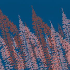 Modern minimalist botanical art. Ferns in terra and pink on blue by Abstract Minimalist Art