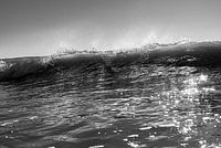In de Zee