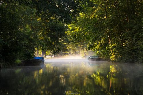 Ambiance matinale à Spreewald