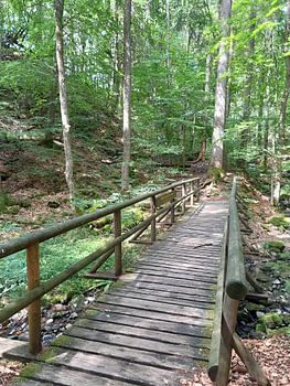 Holzbrücke im Wald