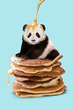 Pannenkoek Panda van Jonas Loose