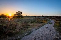 Gasterse Duinen