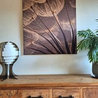 Photo de nos clients: Des tons chauds de brun : La lumière tombe sur le duvet d'un Tragopogon (Morning Star) par Marjolijn van den Berg, sur ArtFrame