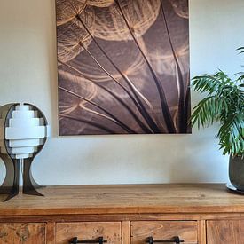 Customer photo: Warm shades of brown: Light falls on fluff of a Tragopogon (Morning Star) by Marjolijn van den Berg, on ArtFrame