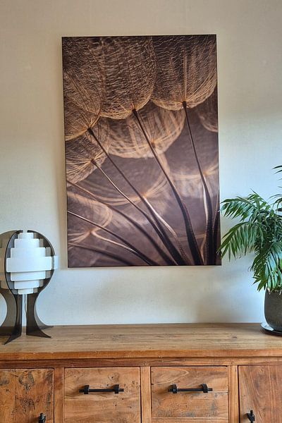 Customer photo: Warm shades of brown: Light falls on fluff of a Tragopogon (Morning Star) by Marjolijn van den Berg, on ArtFrame