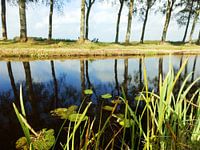 Nokcanal