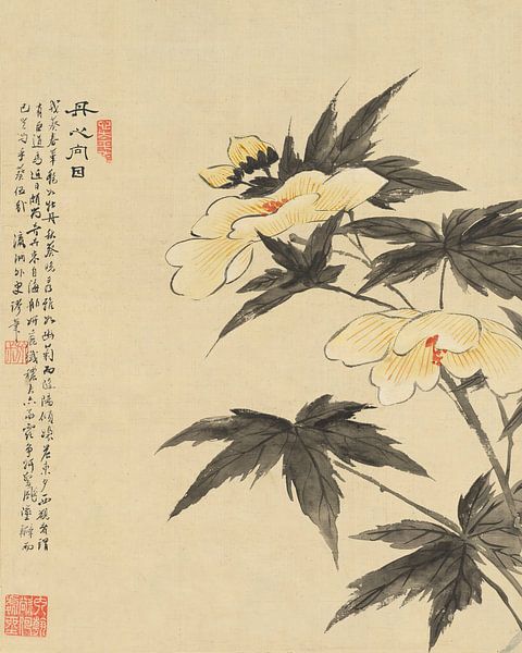 Liang Yuwei - Flowers Pl.08 von Peter Balan