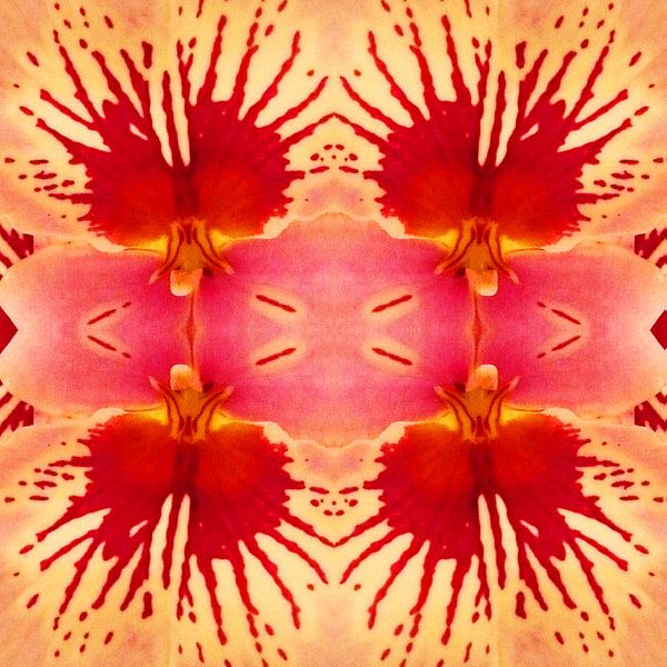 bloem 2 von Margriet Snaterse