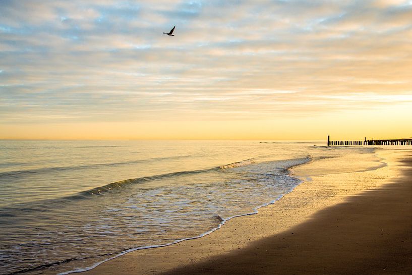 Sonnenuntergang über der Nordsee von Alain Ulmer