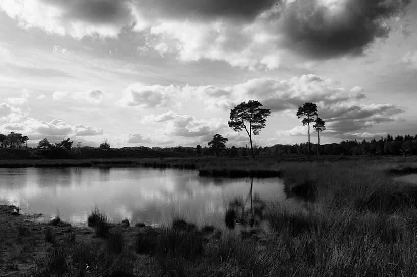 De Hatertse Vennen by Menno Binsma