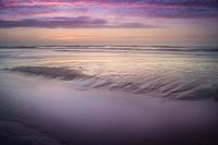 pure Purple