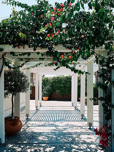 Romantische Eleganz für Hochzeitspaare | Insel Kos