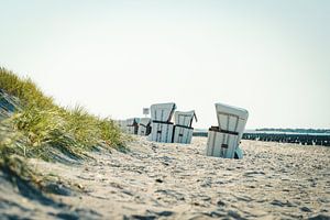 Côte de la mer Baltique avec des chaises de plage près d'Ahrenshoop dans le Fischland Dar�