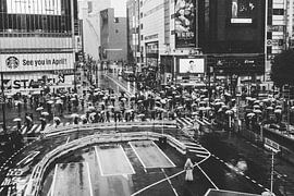 The Dynamics of Tokyo: Signs, Sounds and Cultural Vibrations by Ken Tempelers