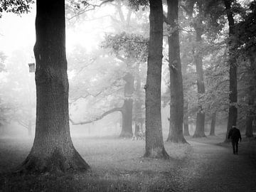 Forest Whispers van Eva-Maria Dausacker