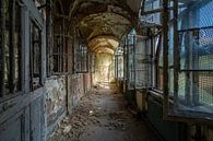 Light at the end of decay van Oscar Beins thumbnail