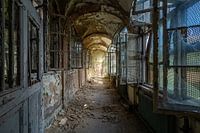Light at the end of decay
