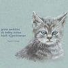 Große Träume Katzen Haiku Holländisch von Karen Kaspar