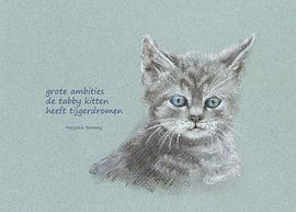 Grote ambities katten Haiku Nederlands