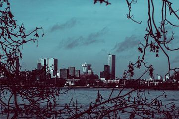 Skyline van Rotterdam van DutchRosephotography