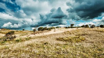 Herfst in het duin met een dreigende lucht van eric van der eijk
