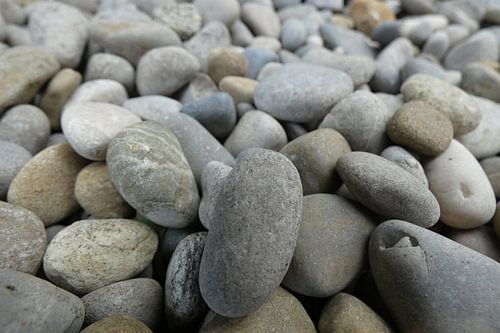 Stenen van Dichtbij