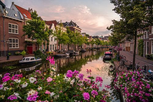 Leiden - Zomers beeld op de nieuwe rijn (0006)
