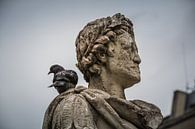 Standbeeld met duif van Frans Janssen thumbnail