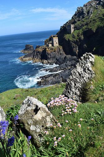 Bâtiments industriels de l'ancienne industrie minière sur la côte anglaise accidentée, avec des fleu