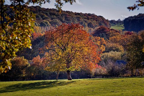 Park Kasteel Neubourg Gulpen