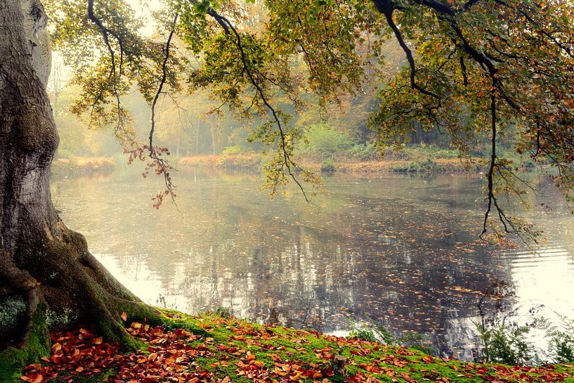 Estate De Braak Paterswolde by R Smallenbroek