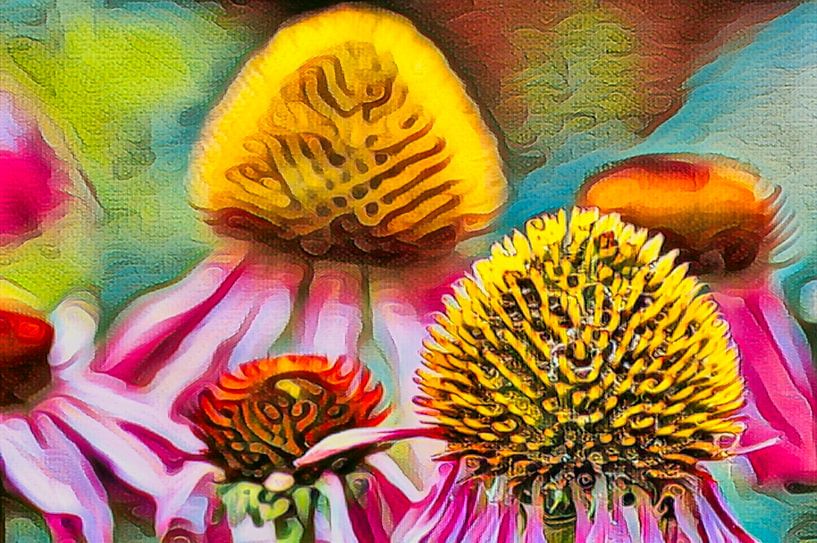 Echinacea, the red sunflower by Anja Oosterwaal Fine Art Fotografie