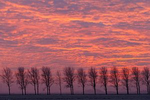 Dutch sunset by Menno Schaefer