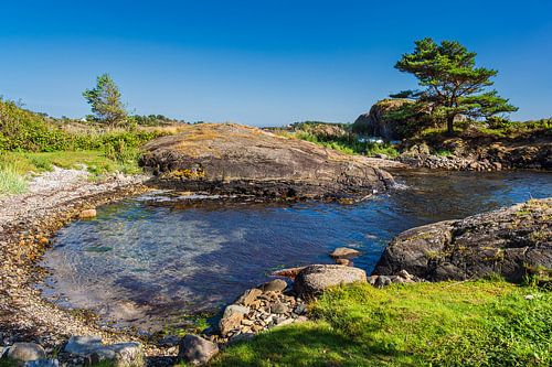 Baai en bomen in Hamborsund in Noorwegen.