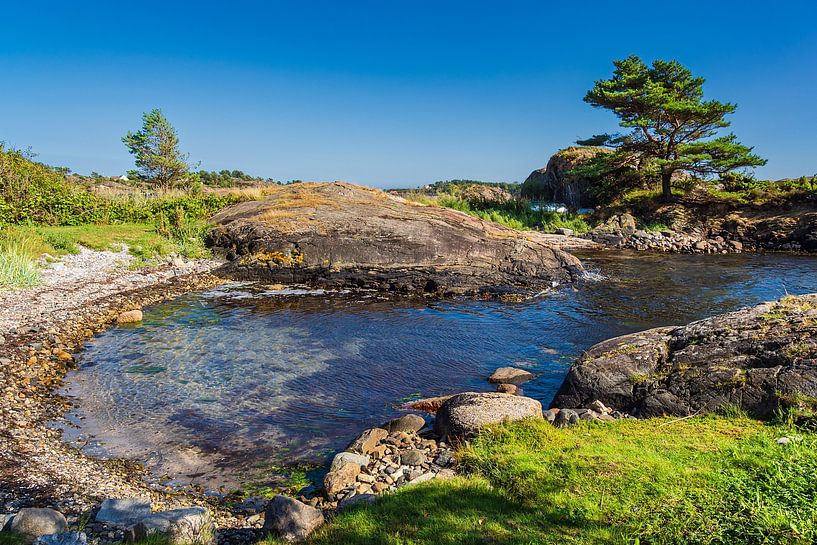 Baai en bomen in Hamborsund in Noorwegen. van Rico Ködder