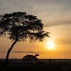 Sonnenaufgang in Uganda von Alexander Ludwig