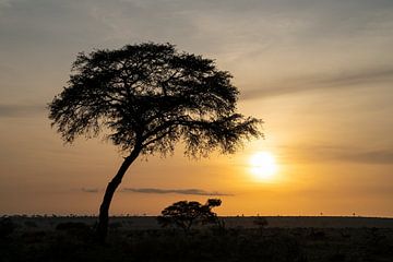 Lever de soleil en Ouganda sur Alexander Ludwig