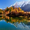 Herbst am Schwarzsee im Lötschental Schweiz von Achim Thomae Photography